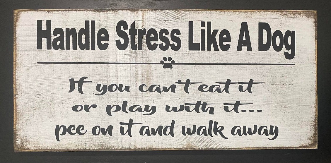 Handle Stress Like A Dog