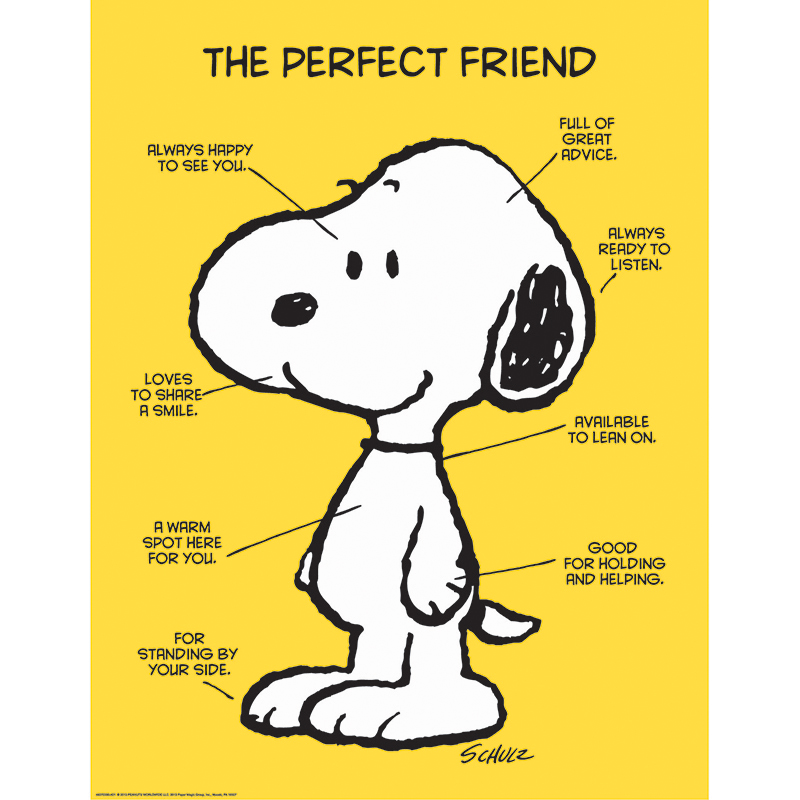 Peanuts The Perfect Friend Poster, 17" x 22"