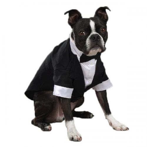 East Side Coll Yappily Ever After Groom Tux - Xsmall White