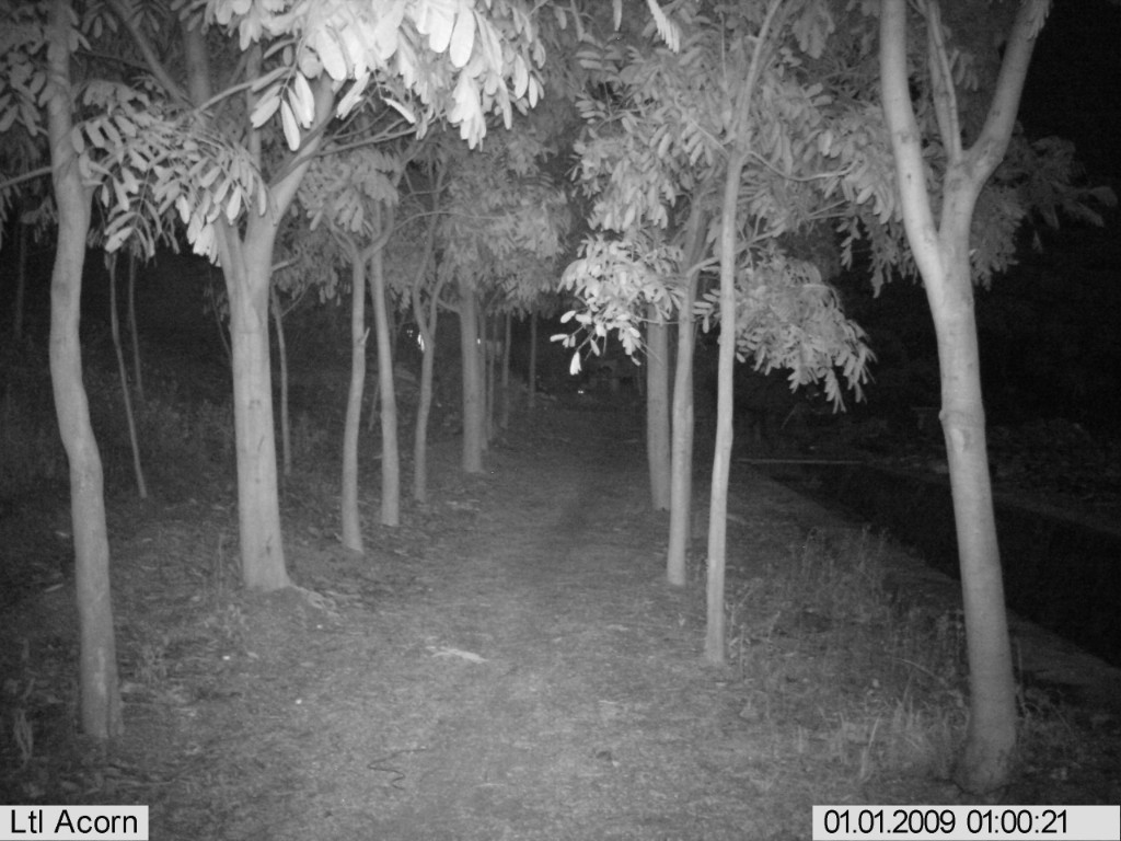640x480/320x240 Video Quality Hunting Trail Waterproof Spy Camera