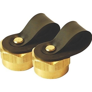 Propane 1In 20 Thread Brass Caps (2 Pack) Clamshell