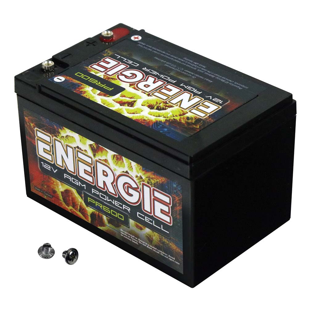 Energie 600W Battery