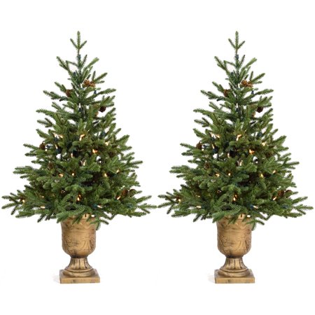 Fraser Hill Farm 4.0' Noble Fir Potted Tree-ClrLED(SET 2), Plug