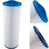 Antimicrobial Replacement Filter Cartridge for Select Pool and Spa Filters