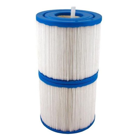 Antimicrobial Replacement Filter Cartridge for Rainbow DSF 35 Pool and Spa