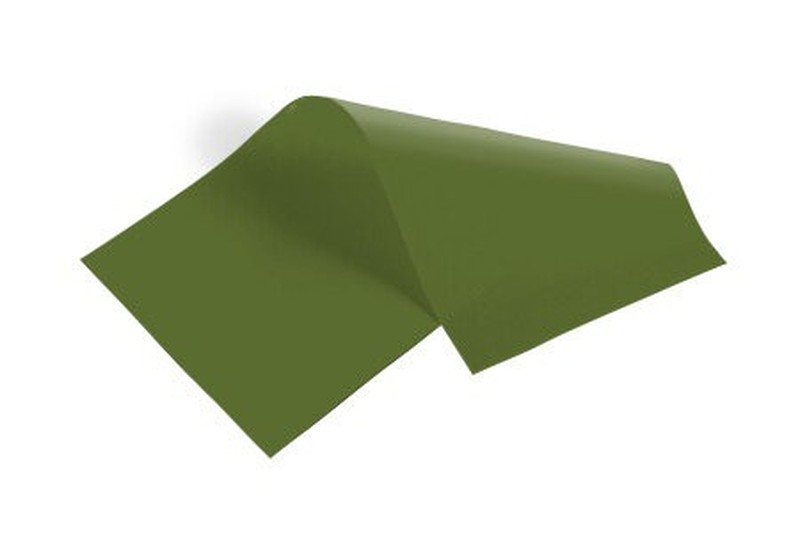 Tissue Paper - 20"x30" Oasis Green