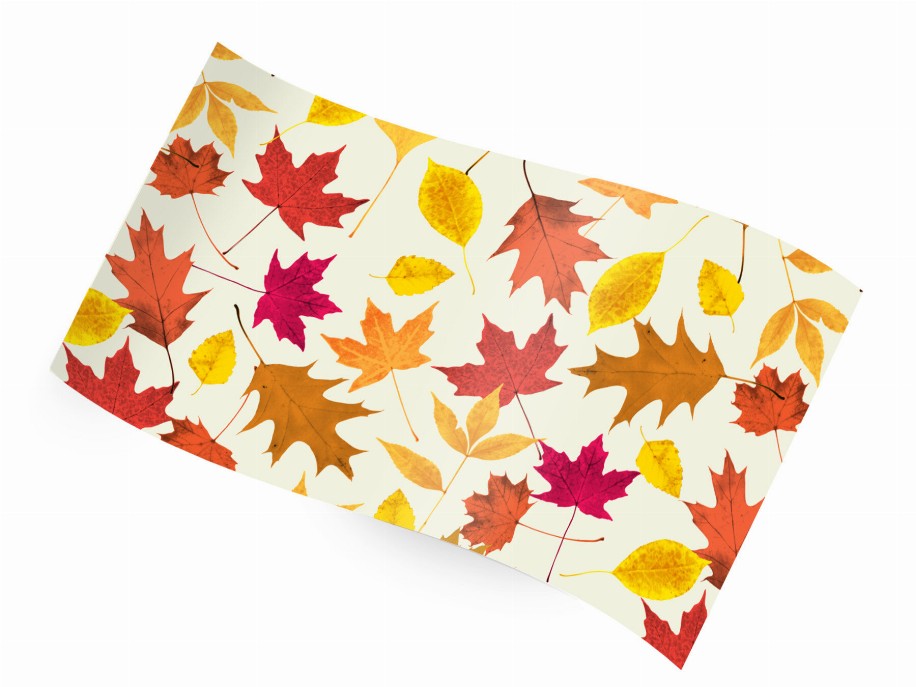 Tissue Paper - 20"x30" Autumn Leaves