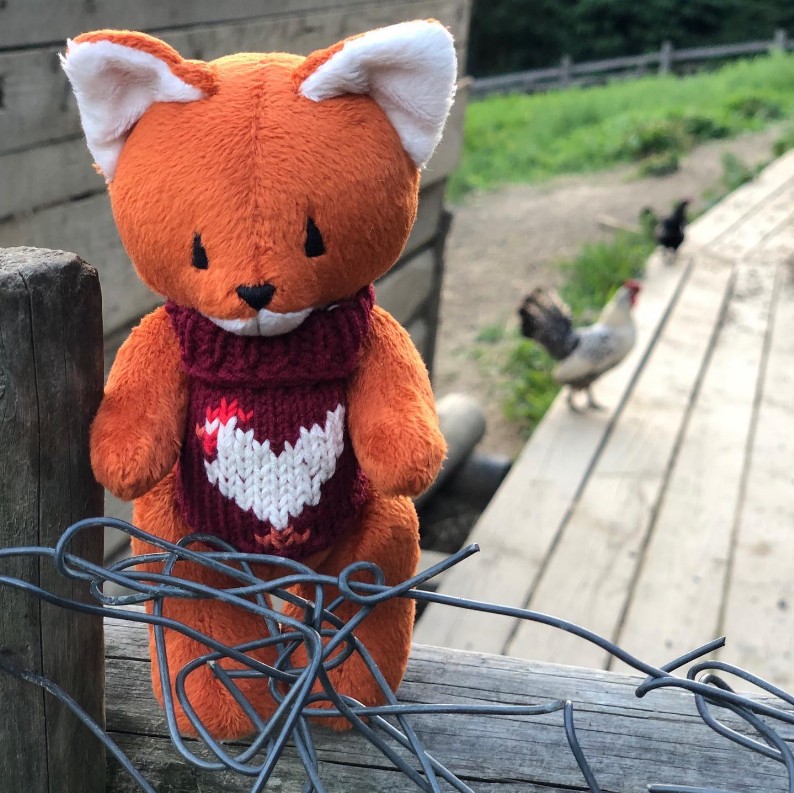 Fox In A Chicken Sweater