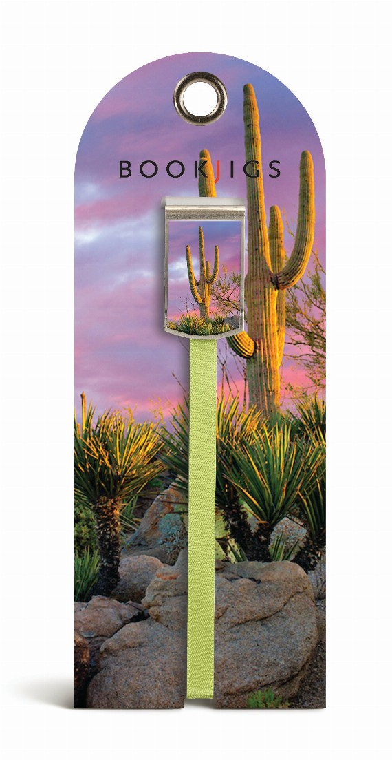 Cactus at Sunset - Bookjig