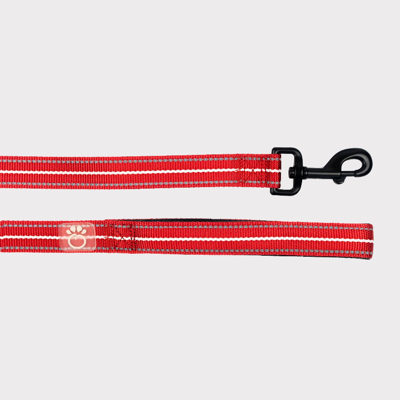 GF Pet  Reflective Leash XS/Small Red