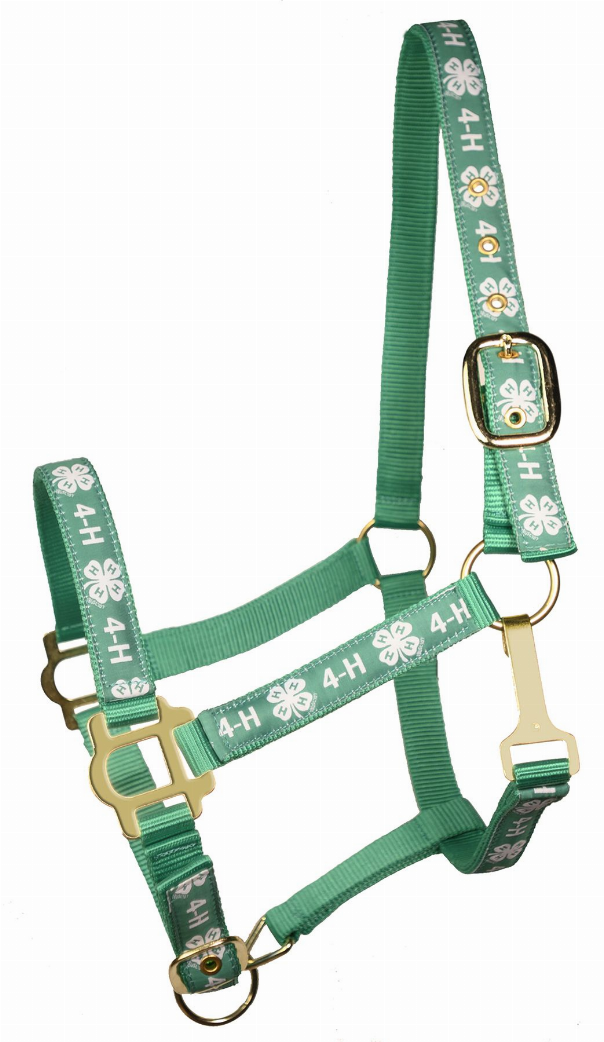 4H Classic Adjustable Nylon Halter With Snap Horse Green