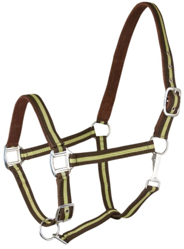 Gatsby 2-Tone Suede Padded Nylon Halter Horse Brown & Green w/Brown Padding