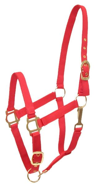 Gatsby Adjustable Nylon Halter With Snap Oversize Red