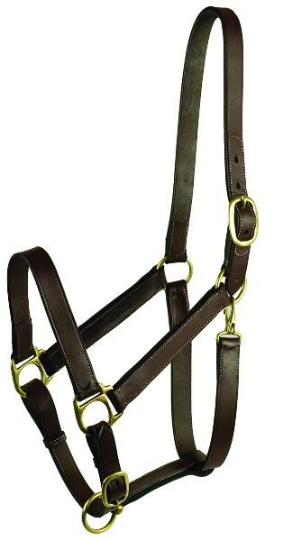 Gatsby Adjustable Turnout Halter With Snap Weanling Havana