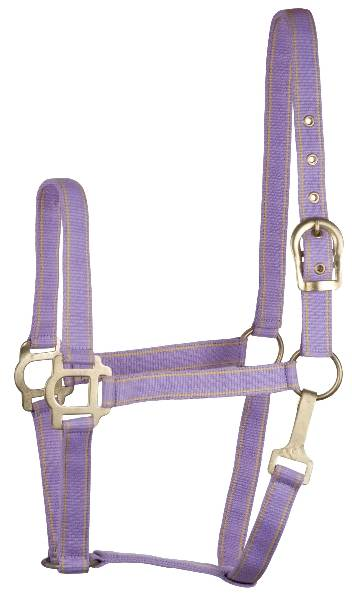 Gatsby Classic 2-Tone Nylon Halter with Snap OverSize Lilac/Yellow