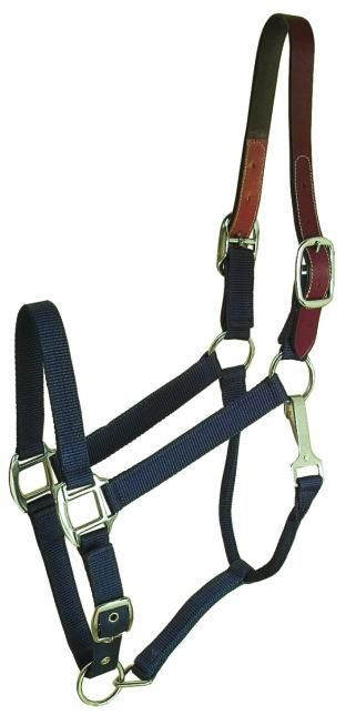 Gatsby Classic Nylon Breakaway Halter With Snap Horse Navy