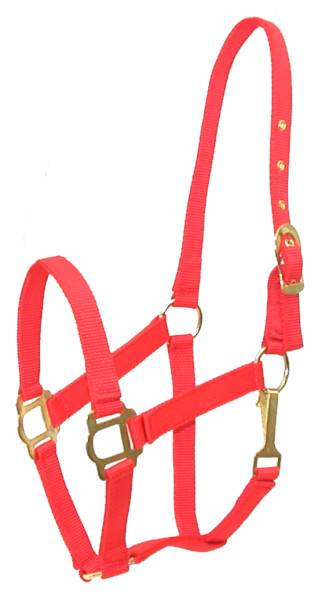 Gatsby Classic Nylon Halter with Snap Horse Red