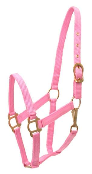 Gatsby Classic Nylon Halter with Snap Horse Pink