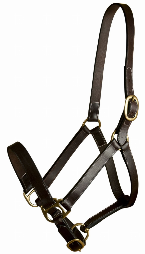 Gatsby Leather Adjustable Turnout Halter Without Snap - Weanling Havana