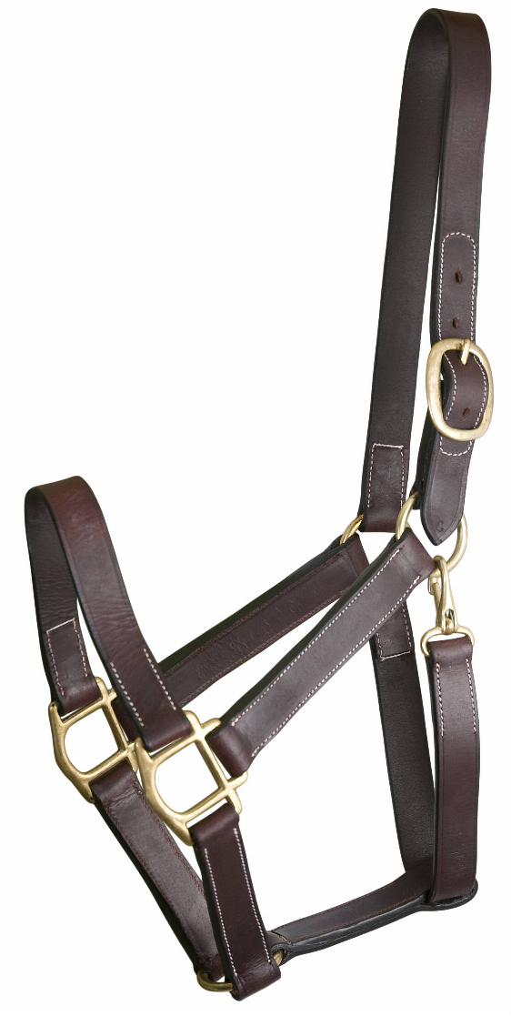 Gatsby Track Style Turnout Halter with Snap - Yearling Havana