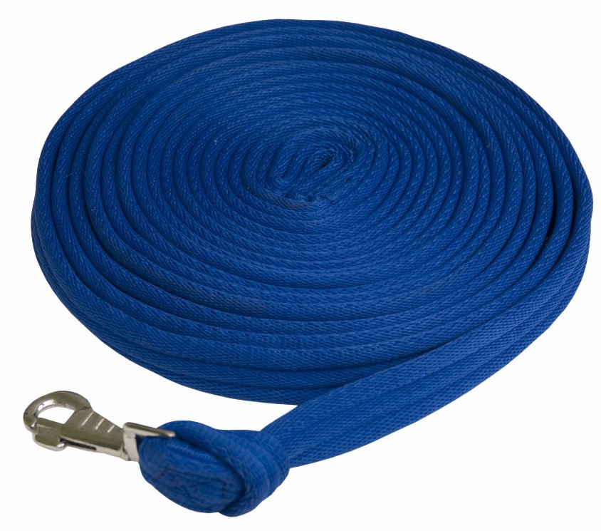 Gatsby Cushion Web Lunge Line With Loop Handle 25' Royal Blue