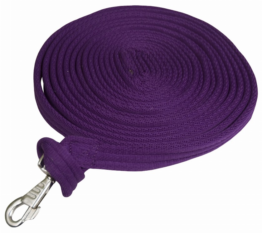 Gatsby Cushion Web Lunge Line With Loop Handle 25' Purple