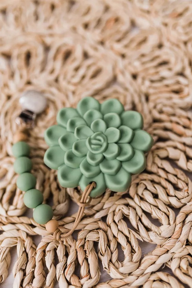 Succulent Teether and Clip Set