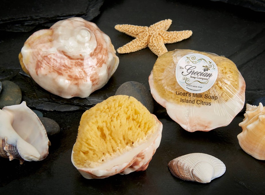 Conch Shell Soap