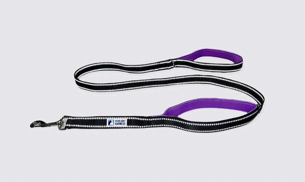 Headlight Harness Double Handle Reflective Leash - 6ft Purple
