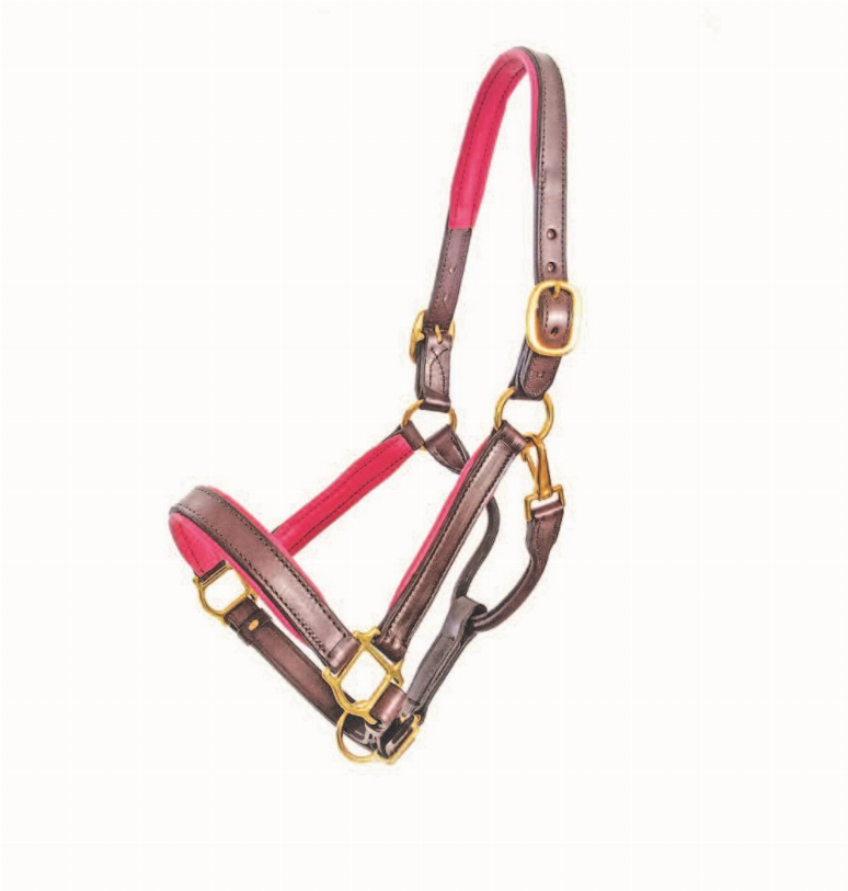 1" Brown Padded Halter Full Size Pink