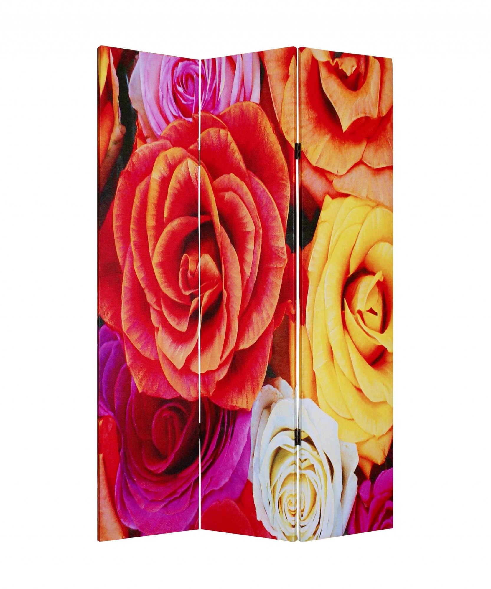 1" x 48" x 72" Multi Color Wood Canvas Daisy And Rose Screen