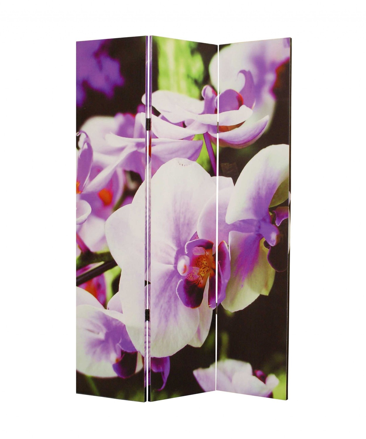 1" x 48" x 72" Multi Color Wood Canvas Orchid Screen