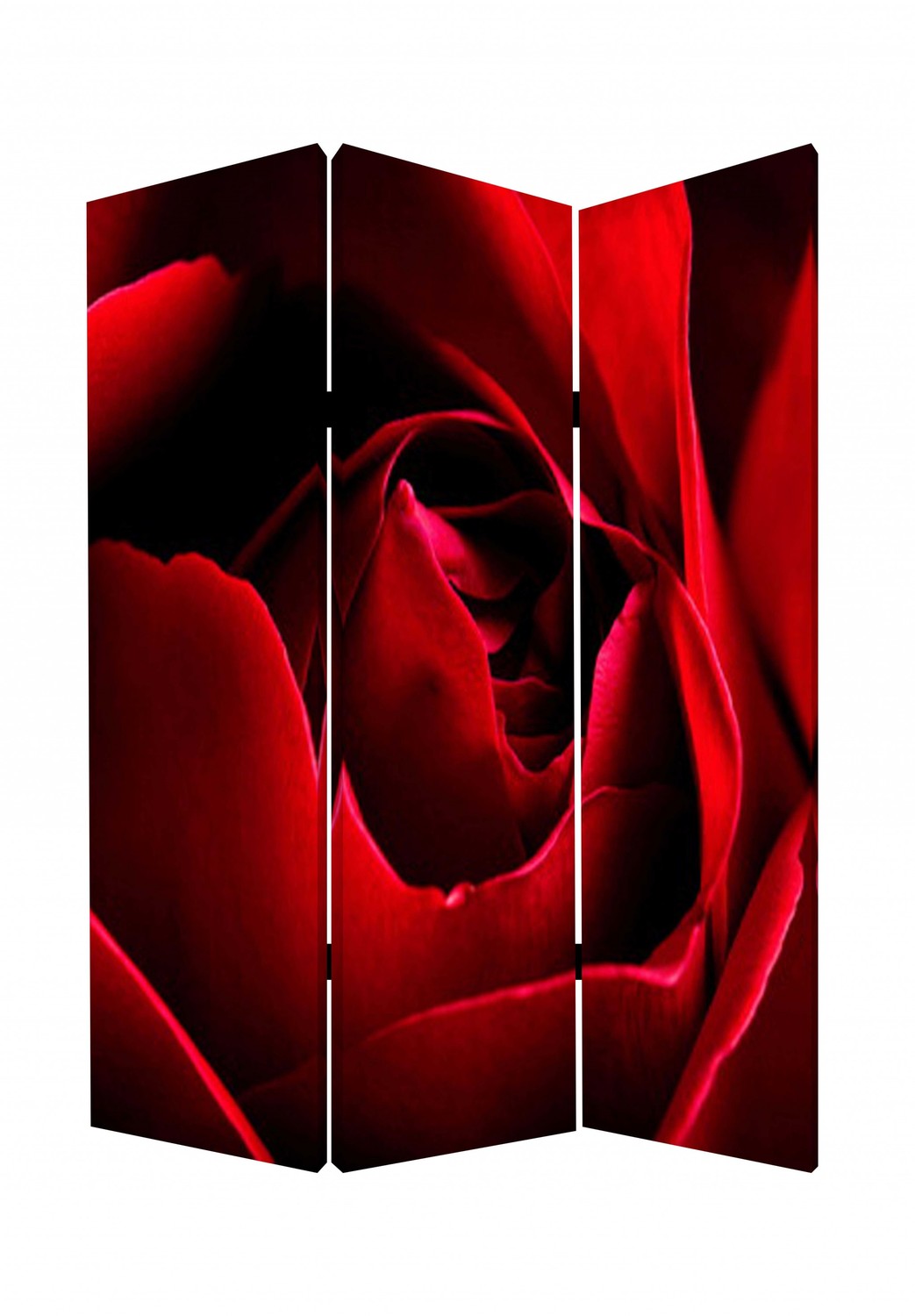 1" x 48" x 72" Multi Color Wood Canvas Rose Screen
