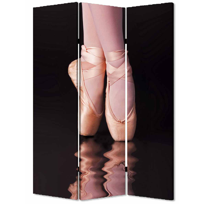 1" x 48" x 72" Multi Color Wood Canvas Ballet Screen