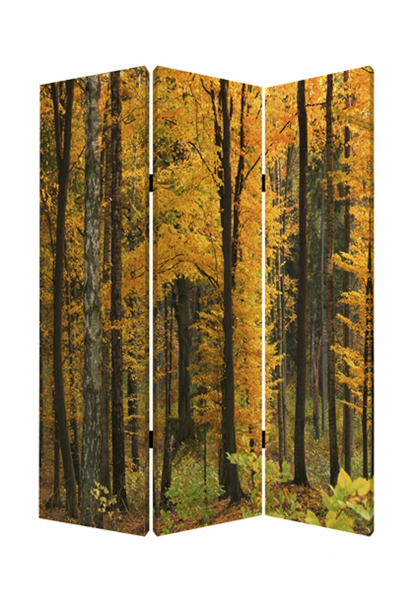 1" x 48" x 72" Multi Color Wood Canvas Autumn Journey Screen