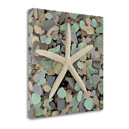 10" Starfish and Colorful Seaglass 3 Giclee Wrap Canvas Wall Art