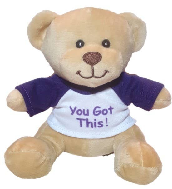 Small Super Cute Supportive Teddy Bear - "You Got This!"