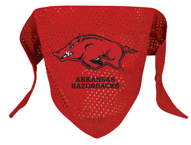 Arkansas Razorbacks Dog Bandana - Large