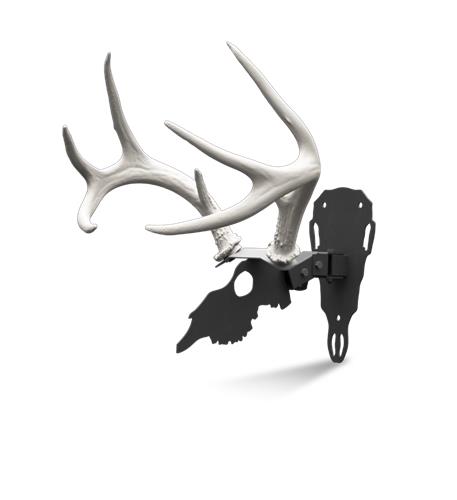 Antler Shed Mount