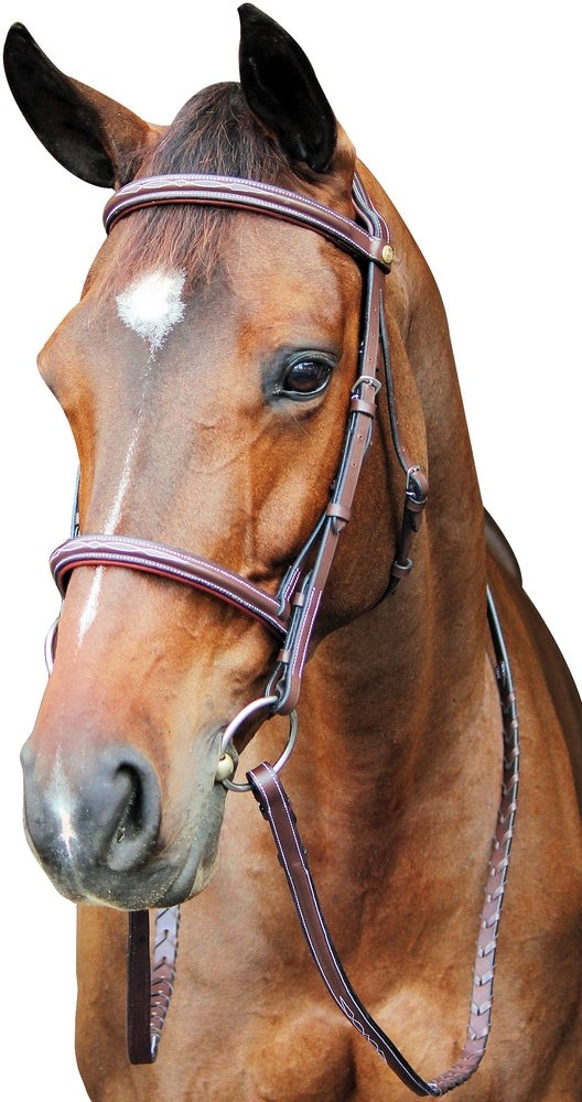 Henri de Rivel Pro Fancy Raised Comfort Crown Padded Bridle With Fancy Raised Reins Horse Australian Nut