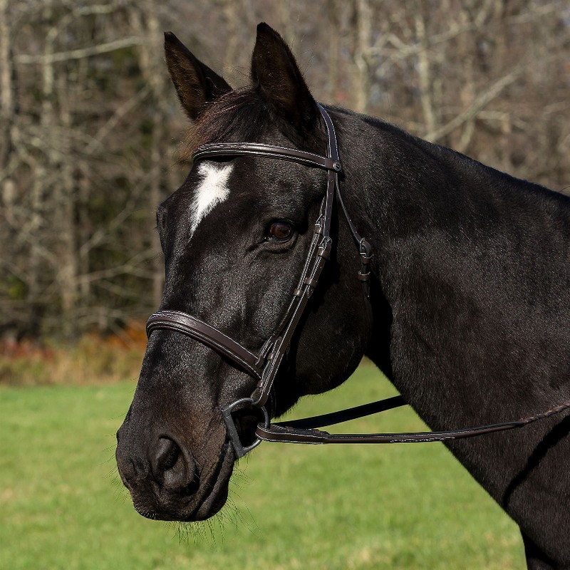 Henri de Rivel Pro Mono Crown Bridle with Padded Wide Noseband  with Laced Reins Cob Havana