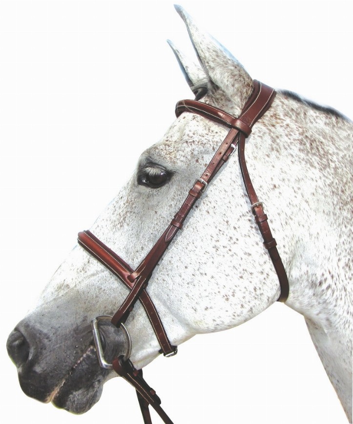 Henri de Rivel Pro Mono Crown Padded Bridle Horse Havana