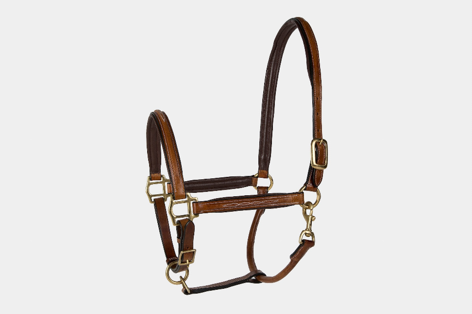 Lettia Padded Leather Halter with Fancy Stitching