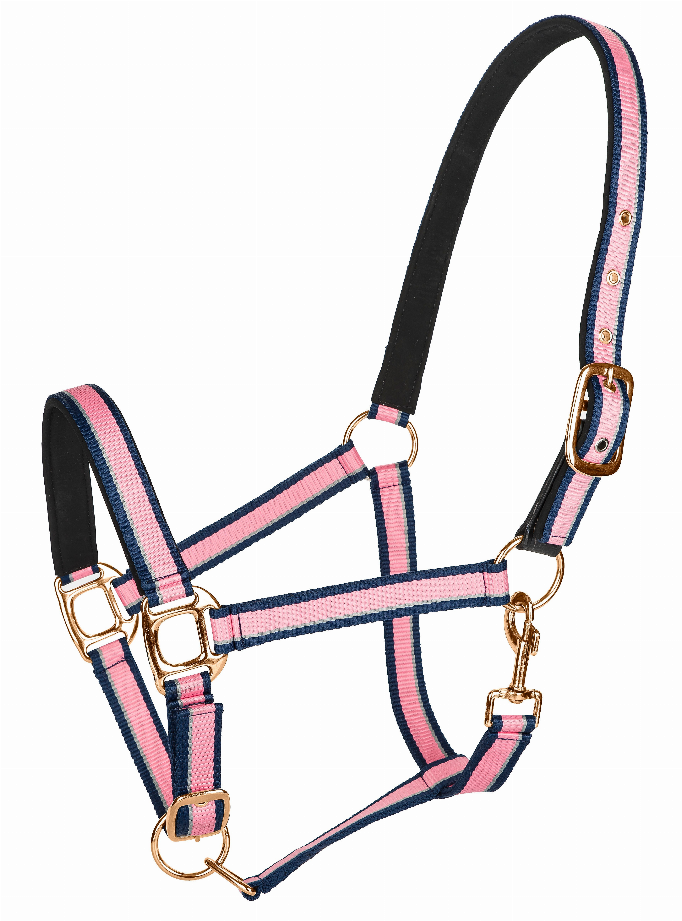 TuffRider Adjustable Nylon Breakaway Halter with Padded Crown and Rose Gold Hardware- Hot Pink/Navy/Gray - C