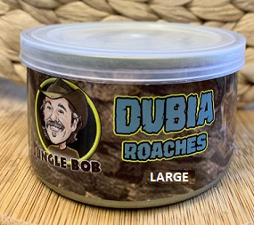 Jungle Bob Dubia Roaches In A Can Large 1.23Oz - Case Of 24 (Approx 25Ct)