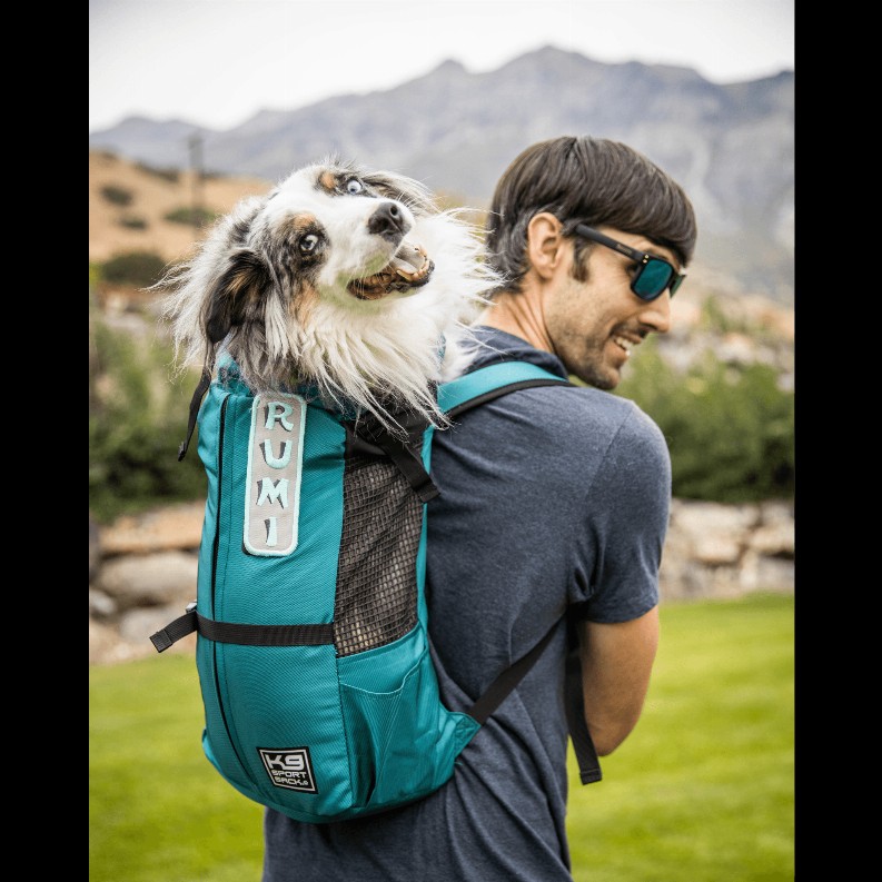K9 Sport Sack Trainer - Large (20"-23" from collar to tail) Harbor Blue