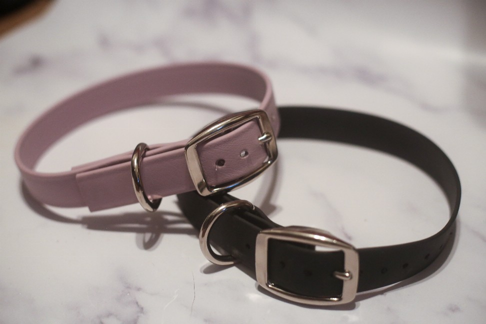 Biothane Buckle Dog Collar - Small 11-13 inches Lavender