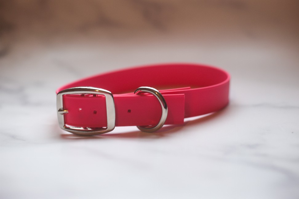 Biothane Buckle Dog Collar - Medium 13-15 inches Red