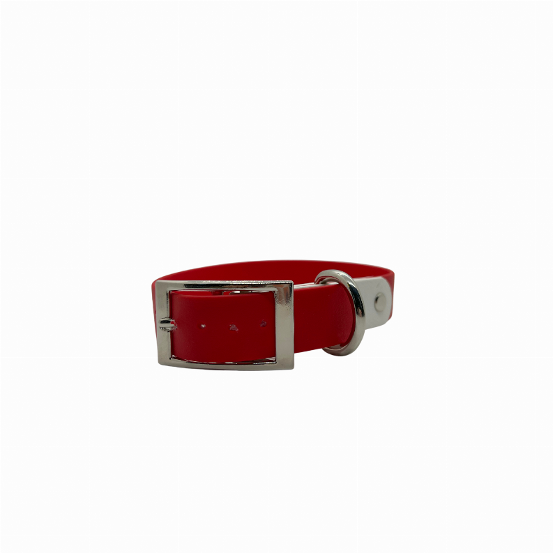 Holiday Biothane Buckle Dog Collar - Small 11-13 inches Holiday