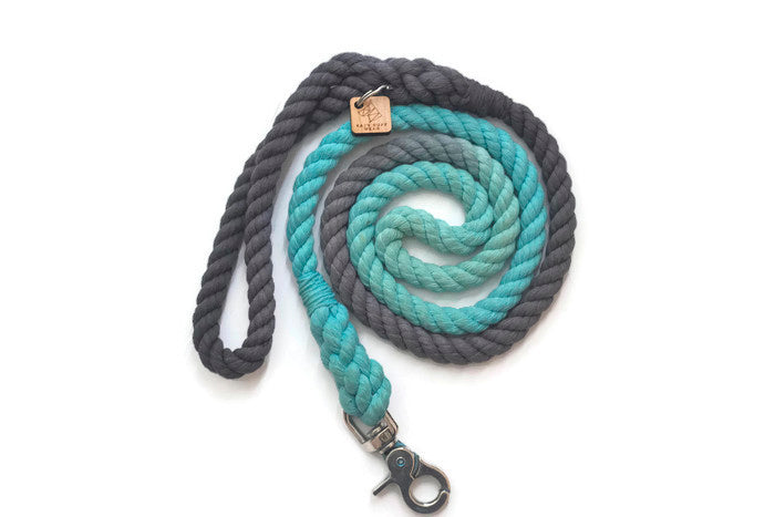 Rope Dog Leash - 4 ft Grey and Aqua